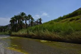 روستای کارواندر