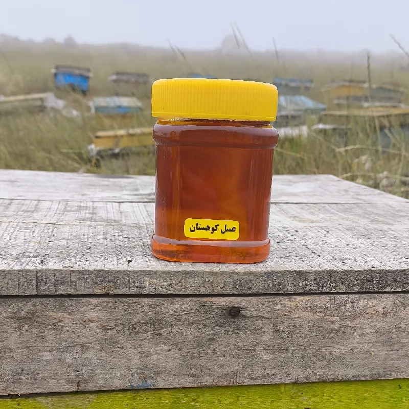فروش عسل طبیعی کوهی